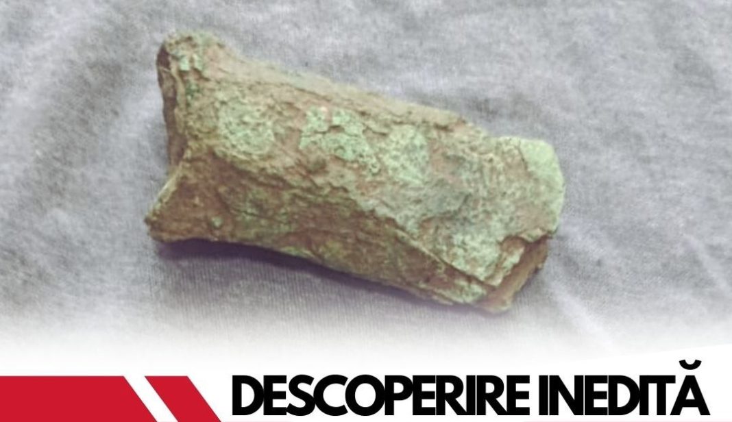 Un artefact din bronz descoperit recent în lunca Călmățuiului readuce comuna Smeeni în atenția istoriei