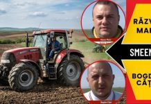 VIDEO – Blocaj în agricultura din Smeeni: Fermierii sunt forțați să apeleze la împrumuturi, în timp ce statul le datorează bani
