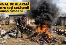 Semnal de alarmă! Curățenia de primăvară te poate lăsa cu buzunarele goale sau chiar cu Dosar Penal