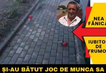 Lacrimi pentru trandafiri. Povestea unui pensionar din Smeeni care și-a văzut munca distrusă în câteva minute